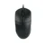 Mouse P Tec P11