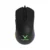 Mouse Chiropter