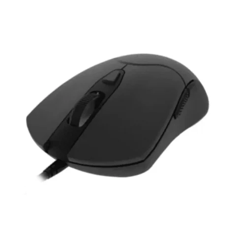 Mouse Chiropter