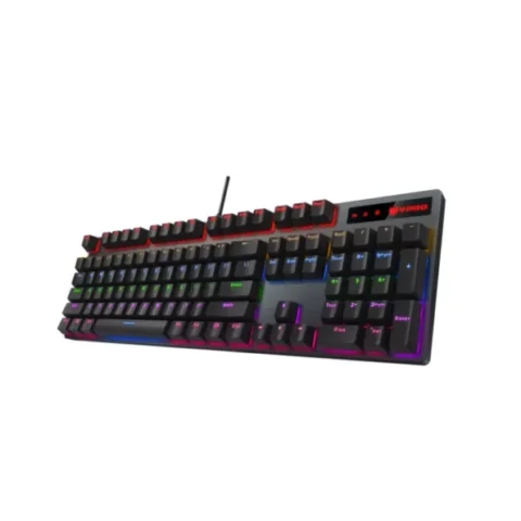 Keyboard Rapoo V500PRO 87