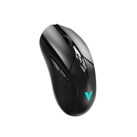 Mouse Rapoo V300L