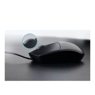 Mouse Rapoo N100C