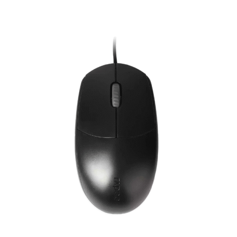 Mouse Rapoo N100C