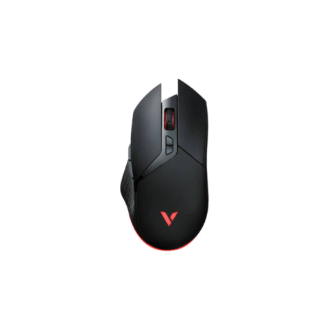 Mouse Rapoo V30L