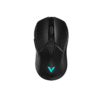 Mouse Rapoo V300L