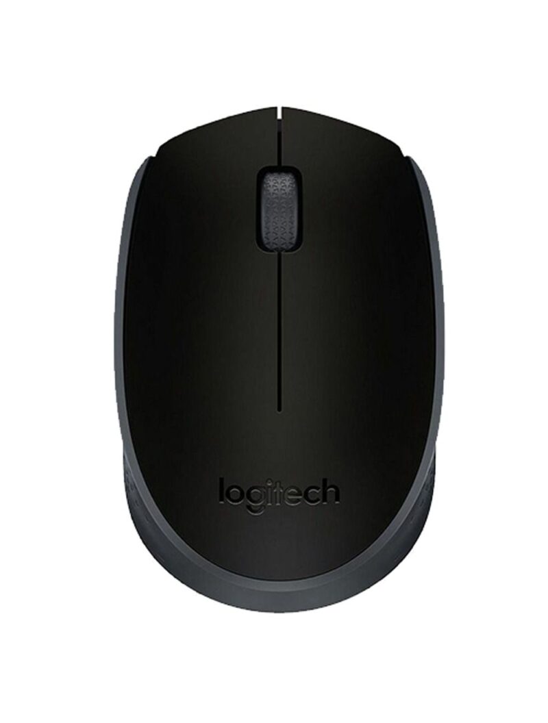 Mouse Logitech M171